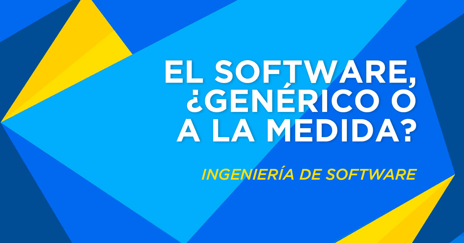El Software, ¿genérico o a la medida?